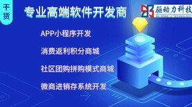 即拼商城APP开发系统软件